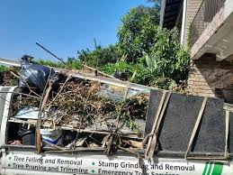 Professional Junk Removal Services in Thoreau, NM